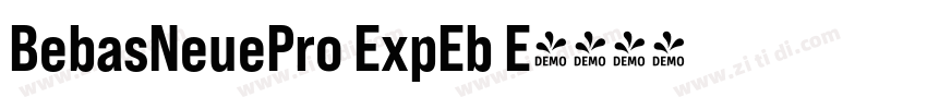 BebasNeuePro ExpEb E字体转换